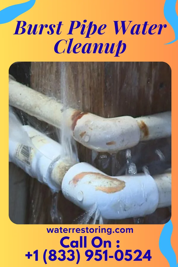 Burst Pipe Water Cleanup in Mamou, LA