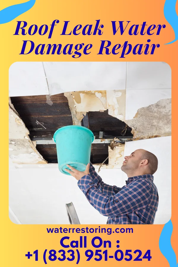 Roof Leak Water Damage Repair in Mamou, LA
